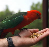 Barrington Tops Escapes - Hotels Melbourne