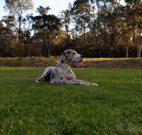 Hunter Valley Retreat - Hotels Melbourne