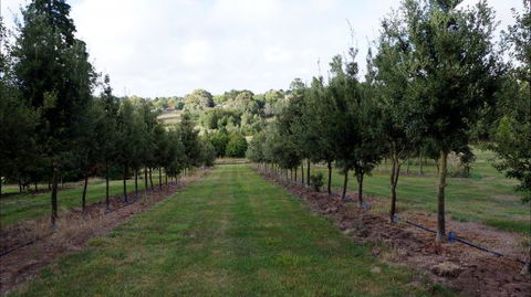 Oakhill Cottage - Hotels Melbourne 6