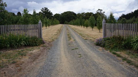 Oakhill Cottage - Hotels Melbourne 7