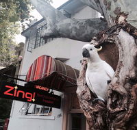 Zing Backpackers Hostel - Hotels Melbourne