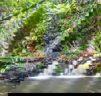 O'Reilly's Rainforest Retreat - Hotels Melbourne