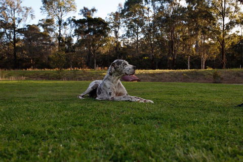 Hunter Valley Retreat - Hotels Melbourne 0