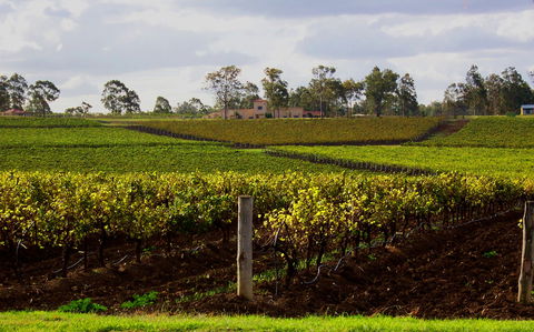 Estate Tuscany - Hotels Melbourne 0