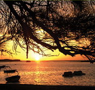 Pelican's Nest - Hotels Melbourne