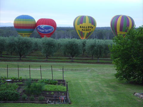 Adina Vineyard & Olive Grove - Hotels Melbourne 1