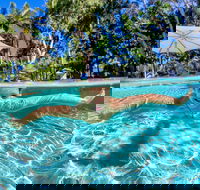 BIG4 Ballina Headlands Holiday Park