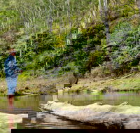 Bass Lodge
