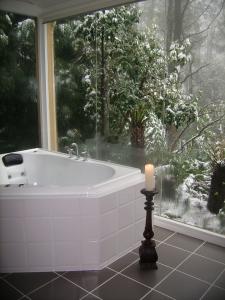 Arnica Views Luxury Retreat - Hotels Melbourne 3