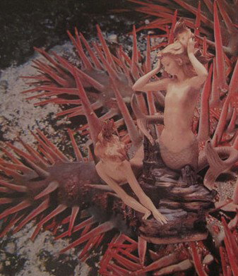 Bower Gallery - Hotels Melbourne 1