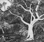 Tacit Contemporary Art - Hotels Melbourne