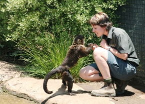 National Zoo & Aquarium - Hotels Melbourne 1