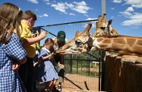National Zoo & Aquarium - Hotels Melbourne 2