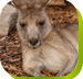 Calmsley Hill City Farm - Hotels Melbourne