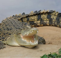 Dundee's Wildlife Park - Hotels Melbourne