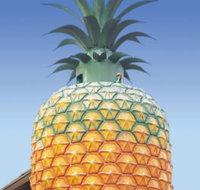 The Big Pineapple