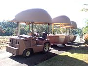 The Big Pineapple - Hotels Melbourne 2