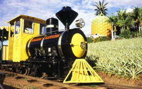 The Big Pineapple - Hotels Melbourne 3