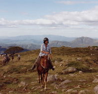 High Country Horses - Hotels Melbourne