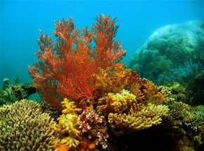 Exmouth Gulf WA Hotels Melbourne