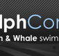 Dolphcom - Dolphin  Whale Swimming Adventures - Hotels Melbourne