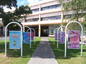 Cadbury Chocolate Factory Tour - Hotels Melbourne 2