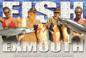 Ningaloo Blue Dive - Hotels Melbourne 2