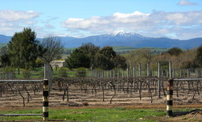 Buller View Wines - Hotels Melbourne 0