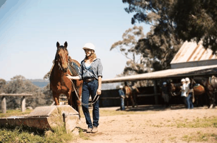 Watsons Trail Rides - Hotels Melbourne