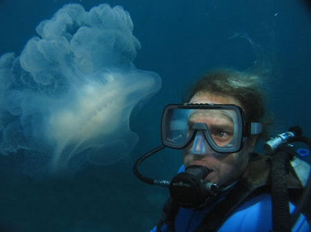 Silver Swift - Hotels Melbourne 2