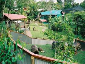 Kuranda Koala Gardens - Hotels Melbourne 1