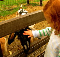 Collingwood Children's Farm - Hotels Melbourne