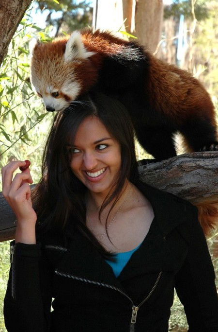 National Zoo & Aquarium - Hotels Melbourne 8