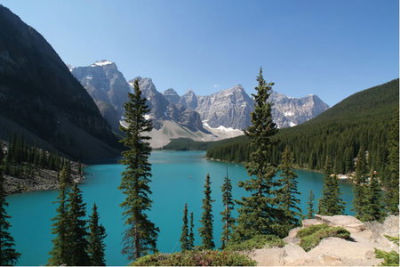 APT - Hotels Melbourne 5