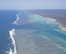 Mandu Sanctuary Zone - Hotels Melbourne 0