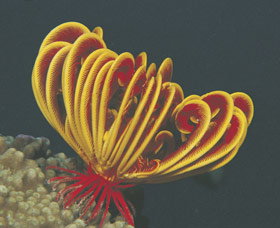 Lighthouse Bay - Hotels Melbourne 0