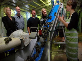 Eyre Peninsula SA Hotels Melbourne