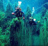 Ewens Ponds Conservation Park - Hotels Melbourne