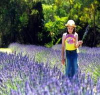 Brayfield Park Lavender Farm - Hotels Melbourne