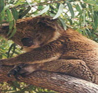 Mikkira Station - Hotels Melbourne