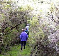 Jack And Hilda McArthur Walk - Hotels Melbourne