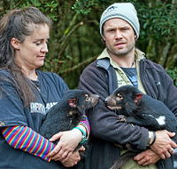 devilscradle - Hotels Melbourne