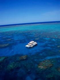 Norman Reef Dive Site - Hotels Melbourne 0