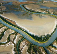 The Wilderness Gallery - Hotels Melbourne