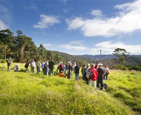 Apple Tree Park - Hotels Melbourne 0