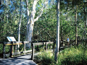 Noosa Heads QLD Hotels Melbourne