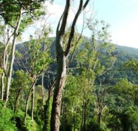Smiths Track Barron Gorge National Park - Hotels Melbourne