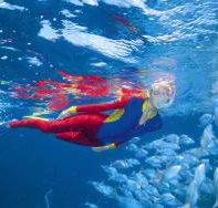 Pixie Pinnacle Dive Site - Hotels Melbourne