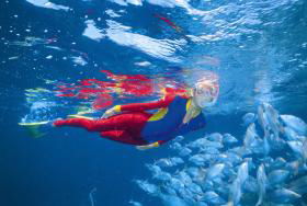 Pixie Pinnacle Dive Site - Hotels Melbourne 0