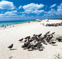 Michaelmas and Upolo Cays National Park - Hotels Melbourne